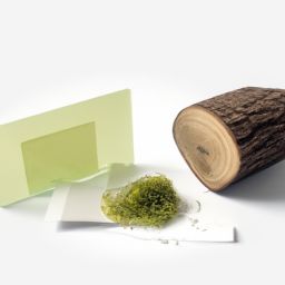 春季<strong>美容</strong>護(hù)膚小知識(shí)100條及春季<strong>美容</strong>護(hù)膚小知識(shí)100條圖片