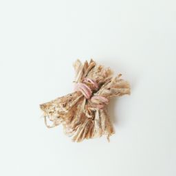 菟絲子美容護膚的功效與作用